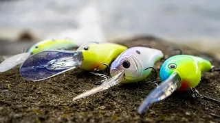 Deep Diving Crankbaits For Early Summer Bass