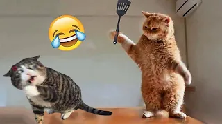 Funniest Animals 2023 😁 New Funny Cats and Dogs 😻🐶 Part 12