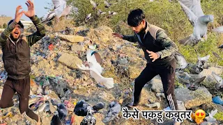 जंगली कबूतर मे मिला सफ़ेद कबूतर 😍🕊 !! Try to catch wild white pigeons 🐦