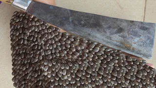 We Help Cleaning Million Big Ticks on Leg Woman With Knife That Work 100% #733