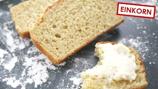 Soft & Fluffy Einkorn Bread in a MIXER! No more crumbly bread!