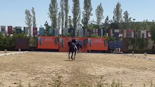 Ekaterina Karkavtseva - Botsman Freestyle Int1 69,050% CDI1* Tashkent April 2024