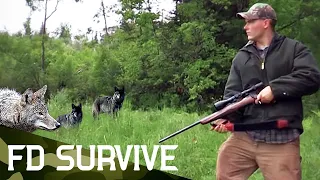 Survival Stories: Pack of Coyotes Ambush Hunter | Fight To Survive | FD Survive