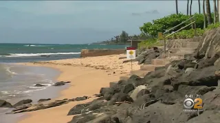 Man Killed By Shark In Hawaii
