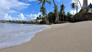 Grand Paradise Samana. Ленивые будни в Dominicana, пляж столовая, пляж столовая))))