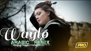 Arabic Remix - Waylo (Laziz Azimov & Hayit Murat Remix)