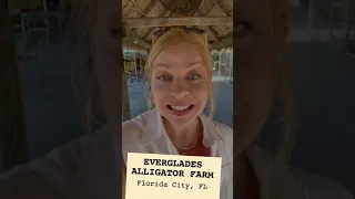 EVERGLADES ALLIGATOR FARM!!!