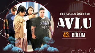 Avlu 43. Bölüm