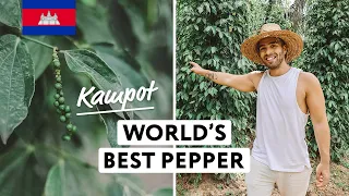 We Tried World's Best Pepper (and got stuck in a village 😱)