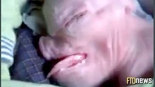 Pig Born With Human Face - Strange Creature