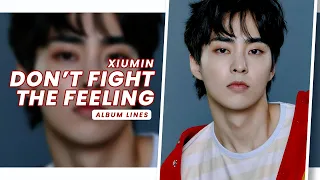 EXO » Xiumin • Don't Fight The Feeling | Album Lines