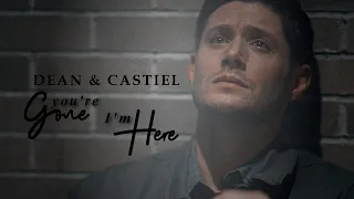 dean & castiel || you're gone, i'm here [+15x19]