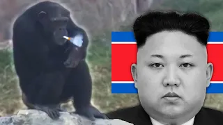 the smoking chimp in North Korea