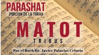 PARASHAT #42 MATOT [TRIBUS] por el Roeh Dr. Javier Palacios Celorio - Kehila Gozo y Paz