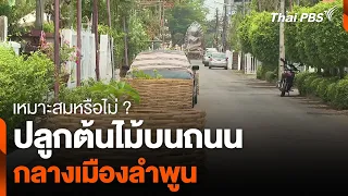 เหมาะสมหรือไม่ ? ปลูกต้นไม้บนถนน กลางเมืองลำพูน | ข่าวค่ำมิติใหม่ | 7 พ.ค. 67