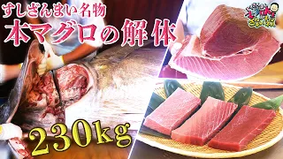 「すしざんまい」名物 “本マグロの解体” 230kg【巨大 本マグロ】圧巻の解体術を披露！