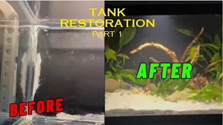 Turning an ABANDONDED 5-gallon tank into a Shrimp Breeding tank (Part 1)