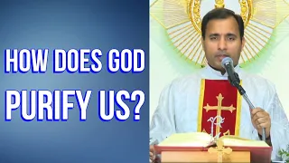 Fr Joseph Edattu VC - How does God purify us?