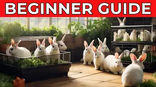 Complete Beginner's Guide to Rabbit Farming: Tips, Tricks, and Techniques for Success