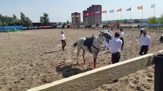 Джигитовка 2016, показательные выступления, команда Волгоградской области