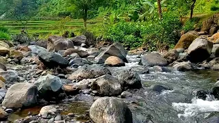 The splash of water calmly sound like a river, River sounds for deep sleep in 10 minutes