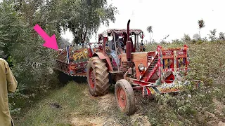 Powerful Tractor Mtz 50 | Belarus MTZ 50 Tractor Stunt / Old is Gold tractor