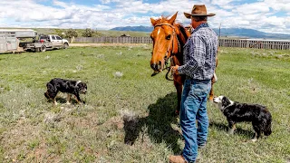 Inside a Real Montana Ranch - What's it REALLY Like??