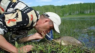 Русские приколы на рыбалке. Пьяные. Нереальная ржака. Подборка приколов 2018.