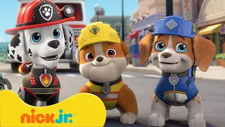 Rubble e Sua Turma | A Patrulha Canina Encontra a Turma! | Nick Jr. em Português