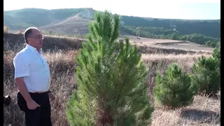 Garbage dump restoration through reforestation in Valladolid Spain with Groasis