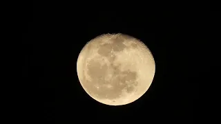Moon rising last night April 26,2024