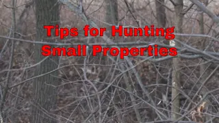 Tips for Hunting Small Properties