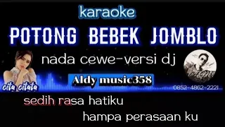 POTONG BEBEK JOMBLO | KARAOKE NADA CEWE | VERSI DJ ALDY MUSIC358 | LAGU VIRAL TIKTOK | CITA CITATA