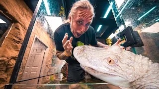 MY ALBINO ALLIGATOR ATTACKED ME!! | BRIAN BARCZYK