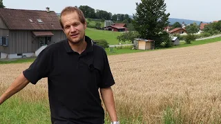 Feldtag regenerative Landwirtschaft Freudwil