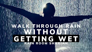 Walk Through Rain Without Getting Wet | Rain Room Sharjah | Things To Do In UAE