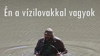 Bűnvadászok  - Én a vízilovakkal vagyok - Ha látni akarsz csodákat