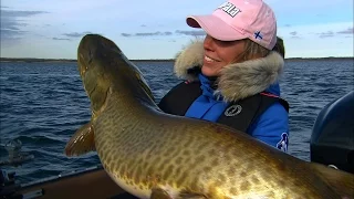 OUTDOOR PASSION  GIANT ST-LAWRENCE RIVER  MUSKY TRAILER