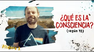 Qué es la Consciencia (vs conciencia)