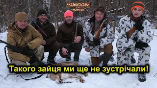 Такого зайця ми ще не зустрічали!