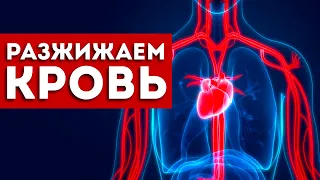 Густая Кровь: 7 Простых Способов Разжижения. (Проверено Работает)