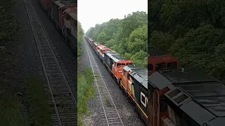 21 consecutive engines!!! a MASSIVE "funeral train" (dead locomotive move) through Niagara Falls