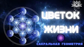 Цветок жизни в его проявлениях. Сакральная геометрия и путь жизни. Наталья КОЛОНТАЕВСКАЯ - 2 часть