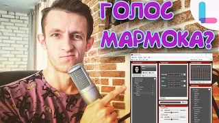 ГОЛОС МАРМОКА !? КАК !?