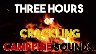 NO ADS || Three Hours of Cracking Campfire || Relax, Calm || Sleep, Work, Study