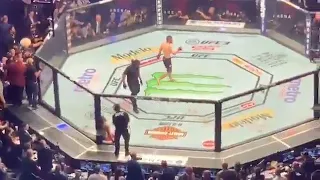 Pancadaria generalizada após Khabib finalizar McGregor mancha luta principal do UFC 229