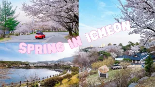 Spring time in Icheon | Spring walk in the Korean countryside  You’ll love | Seolbong Park