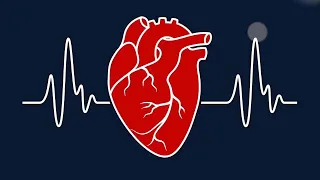 Less known Facts about your Heart That You Should Not Ignore | Heart Problems | Nutshell School