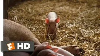 Charlotte's Web (1/10) Movie CLIP - Fern Saves Wilbur (2006) HD