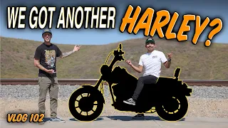 Did We Really Get Another Harley? - VLOG 102